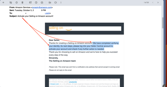 How to Appeal an Amazon Seller Account Suspension for Section 3 Verification Failure: A Step-by-Step Guide